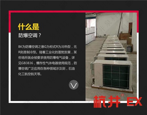 核電站防爆空調(diào)機(jī)案例圖